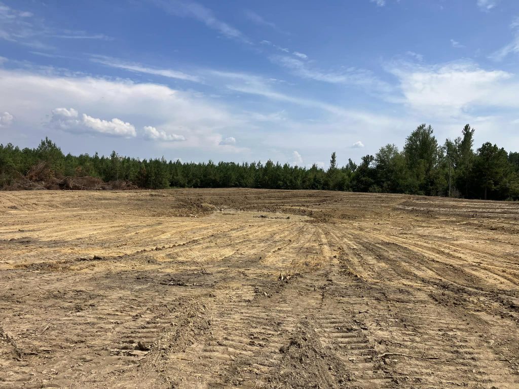 pond construction collins ms