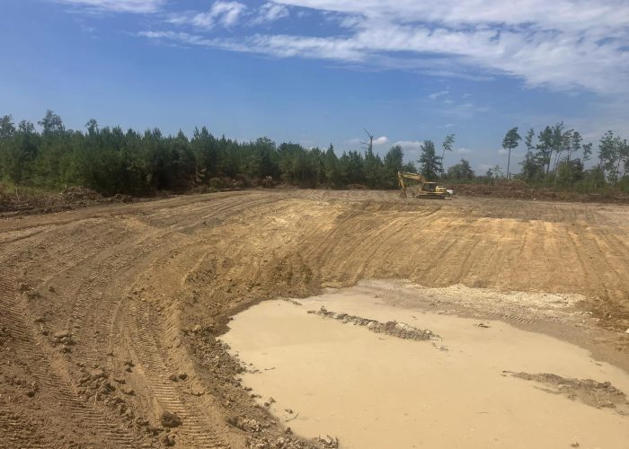 pond construction collins ms